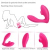 Klitoris Vajina Emme Stimülatörü